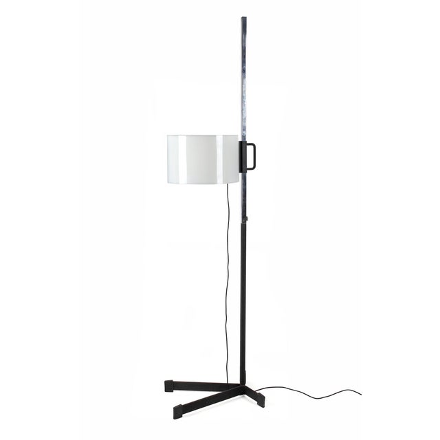 Modern Adjustable Floor Lamp by Miguel Milá for Tramo, Spain, 1970s For Sale - Image 3 of 7