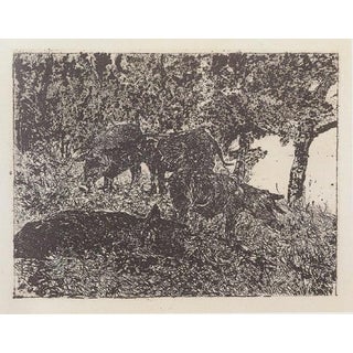 Giovanni Fattori, Group of Pigs, Etching For Sale
