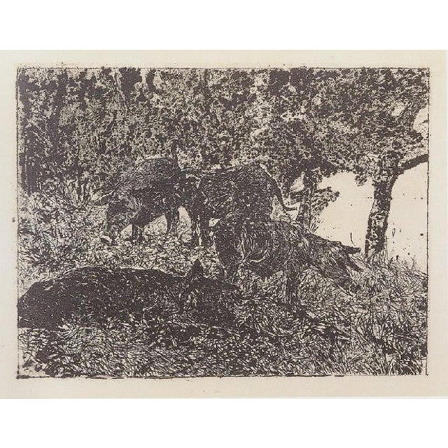 Giovanni Fattori, Group of Pigs, Etching For Sale