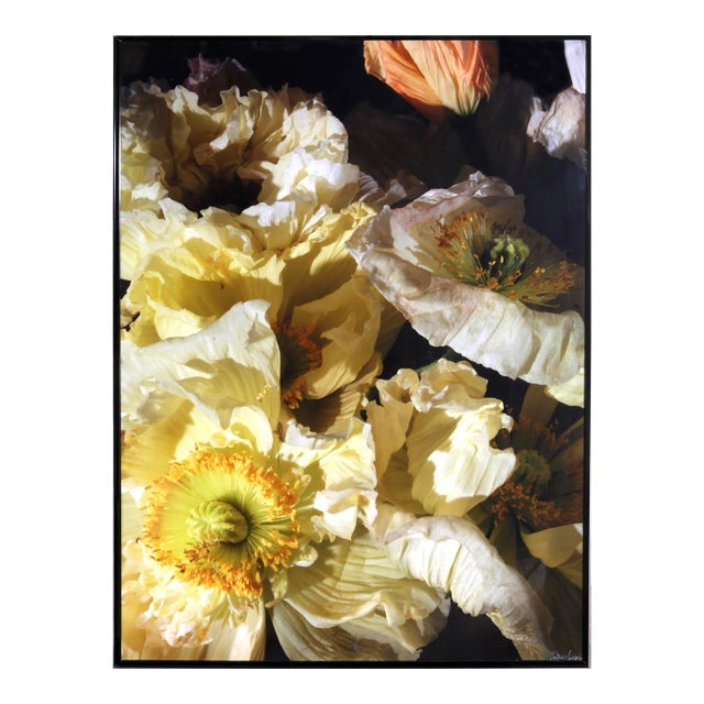 White Poppies, Jonathan Singer, Print For Sale