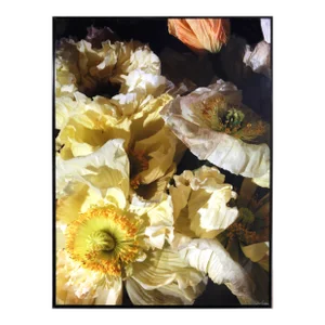 White Poppies, Jonathan Singer, Print