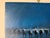 1980s Vintage Impressionist Animal Herd Oil on Canvas Painting – Signed, Unframed For Sale In Miami - Image 6 of 11