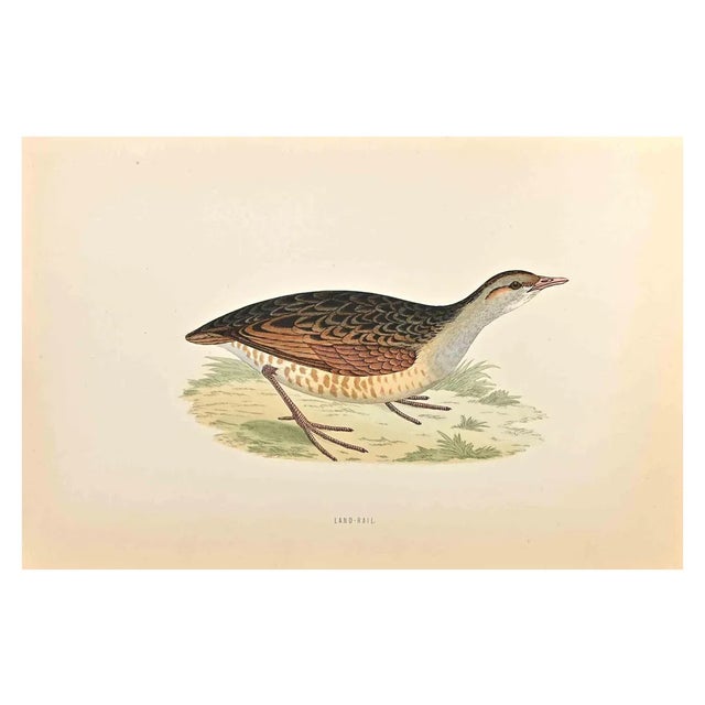 Alexander Francis Lydon, Land-Rail, Woodcut Print, 1870 For Sale