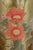 1980s Chinese Eglomise Glass Canister Lamps - a Pair For Sale - Image 15 of 17