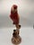 1940s MCM Ceramic Scarlet Macaw Figurine Created by California Pottery Studio, Will George For Sale - Image 5 of 6