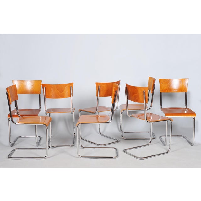 Vintage Bauhaus Chairs in Beech and Chrome, Czech, 1930s, Set of 8 For Sale - Image 12 of 12