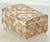 19th Century Domed Victorian Shell Marquetry Box For Sale - Image 9 of 14