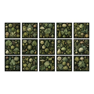 Set of 15 - 90' X 54' Evergreen Organic Modern Gallery Wall Installation Botanical Prints - Dark Green, Unframed For Sale