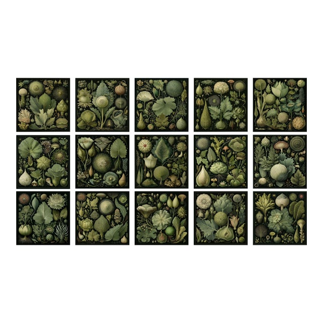 Set of 15 - 90' X 54' Evergreen Organic Modern Gallery Wall Installation Botanical Prints - Dark Green, Unframed For Sale
