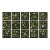 Set of 15 - 90' X 54' Evergreen Organic Modern Gallery Wall Installation Botanical Prints - Dark Green, Unframed For Sale