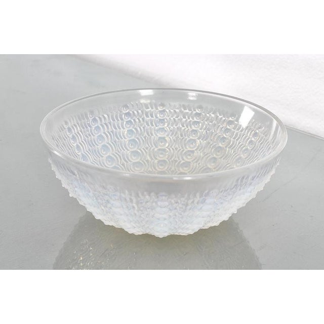Opalescent Crystal Mod. Oursins No. 2 Nemour Series Bowl from René Lalique, France, 1935 For Sale - Image 4 of 11