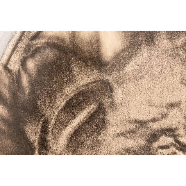 2020s Lisa Spindler Untitled Rose Series I 2024 Signed Contemporary Photograph 1/10 For Sale - Image 5 of 6