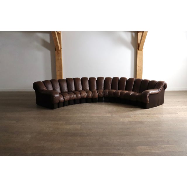 DS 600 Sectional Sofa by Heinz Ulrich, Ueli Berger and Eleanora Peduzzi-Riva for de Sede, 1980s, Set of 17 For Sale - Image 12 of 12