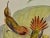Printmaking Materials Flame-Bearer Hummingbirds: A 19th Hand-Colored "Selasphorus Scintilla" by John Gould and Henry Constantine Richter 1850 For Sale - Image 7 of 9