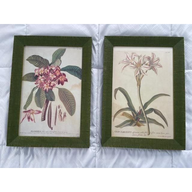 Iconic set of vintage botanical prints. These lovely vintage prints must have been highly treasured because they appear to...