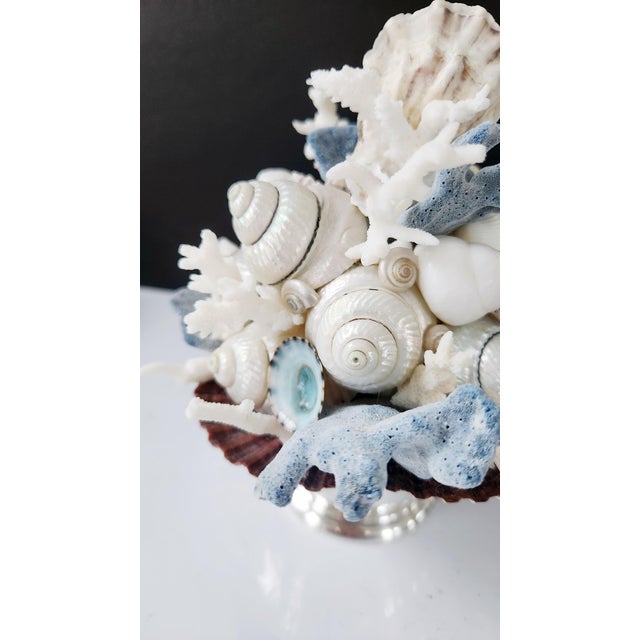 Handmade Coastal Seashell Sculpture – Seashell & Blue Ridge Coral Arrangement For Sale - Image 10 of 15
