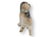 19th Century Antique Staffordshire Porcelain Pug Dog For Sale - Image 5 of 6