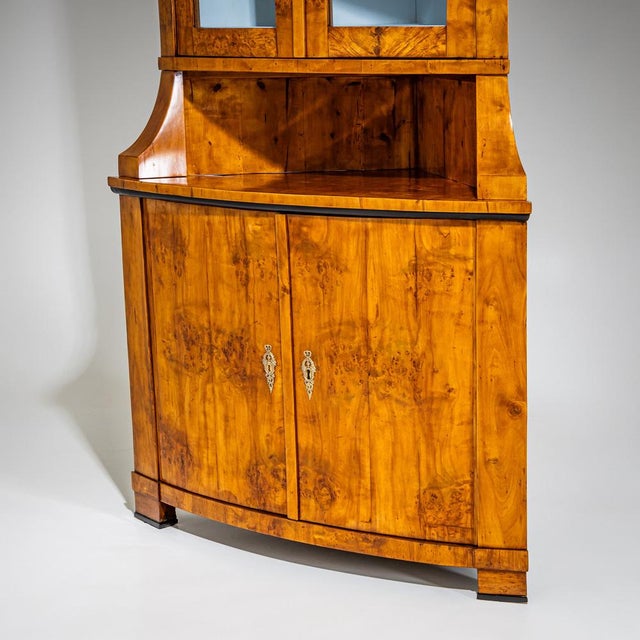 Biedermeier Corner Cabinet, 1820 For Sale - Image 6 of 10