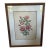 A Hand Colored Engraving of Pink Roses For Sale