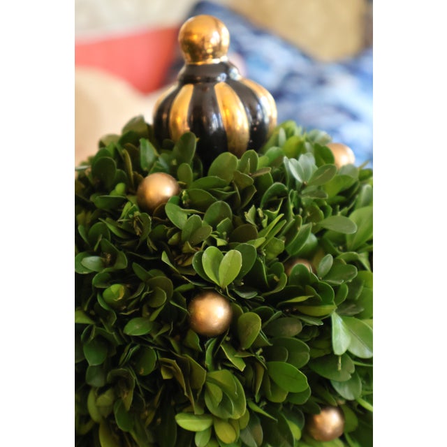 English MacKenzie-Childs Courtly Check Holiday Boxwood Topiary Trees With Gold Accents — A Pair For Sale - Image 3 of 18