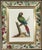 English !8th-Century Engraved Prints of Exotic Birds by George Edwards With Decoupage Frames (12) For Sale - Image 3 of 14