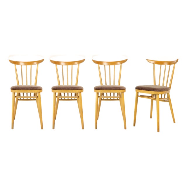 Dining Chairs from Tatra, Former Czechoslovakia, 1960s, Set of 4 For Sale