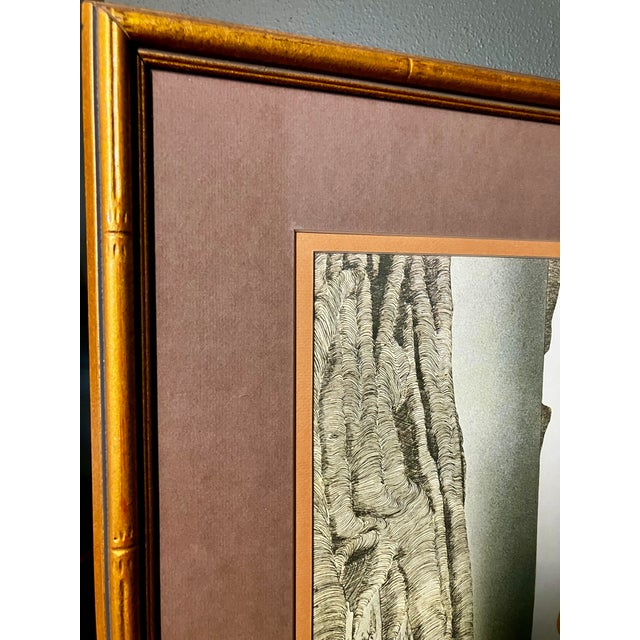 Vintage Framed Artwork Lithograph Reproduction Titled "Tropical Fig Tree" by the American Artist Michael Edward Arth For Sale - Image 10 of 18