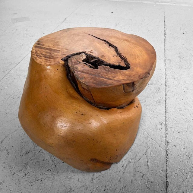 Japanese Burl Root Plant Stand, 1950s For Sale - Image 11 of 14