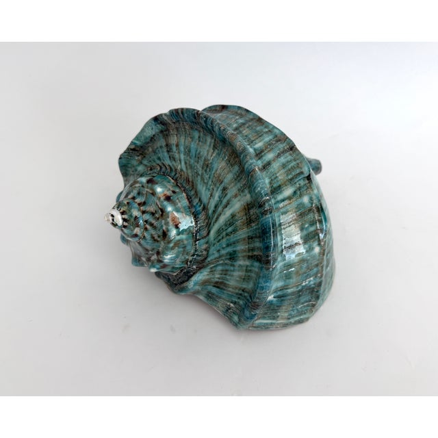 Chinoiserie Giant Green Turbo Marmoratus Shell For Sale - Image 3 of 8