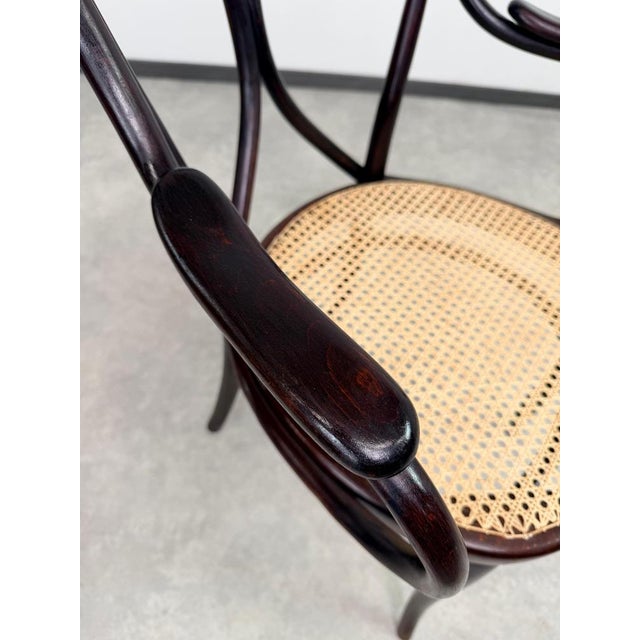 Nr.19 Angel Back Armchair in Bentwood attributed to Thonet, 1890s For Sale - Image 9 of 14