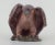 Ceramic Sculpture of Eagle from Michael Andersen and Sons., 1960s For Sale - Image 4 of 10