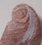 Abstract Late 20th Century Beautiful Signed Red Alabaster Sculpture "Navajo Woman" by Noted American Indian Artist Randall Beyale. For Sale - Image 3 of 13