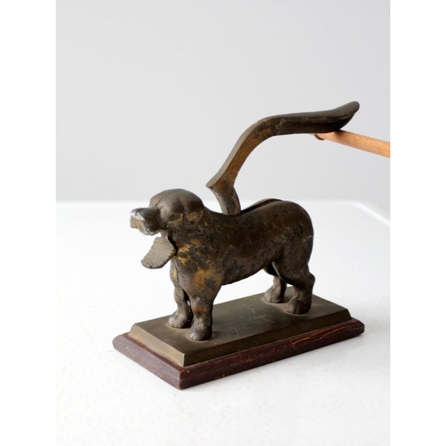 Brass Antique Brass Dog Nut Cracker For Sale - Image 8 of 8