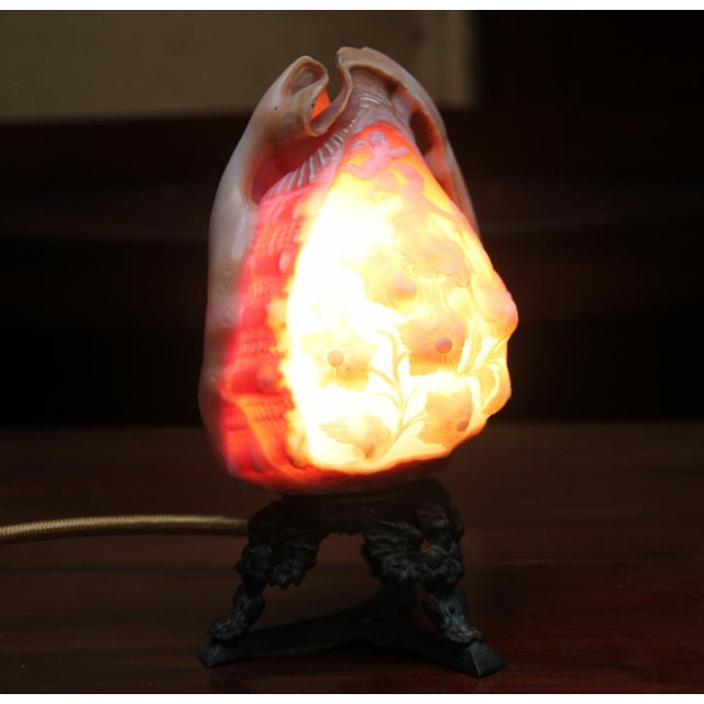 Cream Antique Carved Shell Cameo Lamp, 1880 For Sale - Image 8 of 10