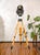 Vintage theater floor lamp, spotlight by a.e. Cremer paris on an old surveying tripod. brand: a.e. Cremer paris model:...