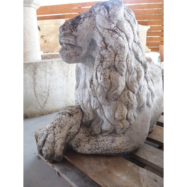 1960s Pair of Recumbent Reconstituted Stone Garden Lions From Belgium, Circa 1960 For Sale - Image 5 of 12