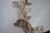 1930s Italian Painted Mirror With Leaves From Mla For Sale - Image 9 of 9