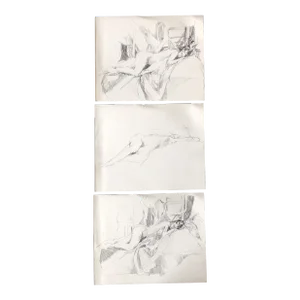 1970’s Gallery Wall Collection 3 Reclining Female Nude Penn& Ink Study Drawings-Set of 3
