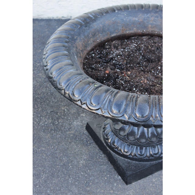 Large Cast Iron Pair Of Garden Urn Planters For Sale - Image 10 of 18