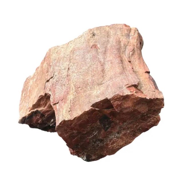 Petrified Wood Sculpture, Organic Modern Design, #2 For Sale In Tampa - Image 6 of 13