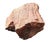 Petrified Wood Sculpture, Organic Modern Design, #2 For Sale In Tampa - Image 6 of 13