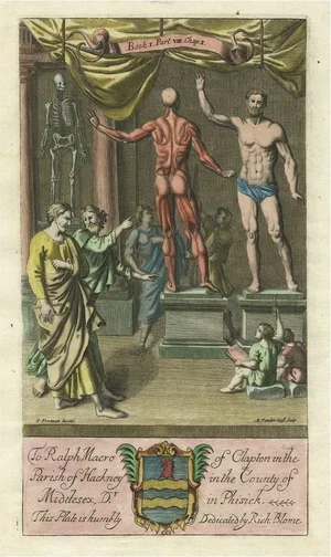 Anatomy Display with Human Skeleton, 1686, Paper