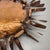 Large Copper Sunburst Theatre Wall Light in the style of Stilnovo, Italy, 1950s For Sale - Image 10 of 18