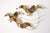 Mid-Century Modern Curtis Jeré Brass Birds Seagulls Wall Sculpture Hanging For Sale - Image 3 of 5