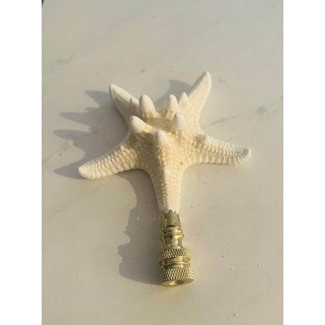 Contemporary 1970s Organic Modern Sea Shell Stars Pair Lamp Finials For Sale - Image 3 of 5
