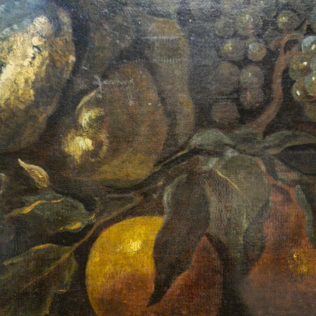Baldassarre de Caro, Still Life with Peacock, 1700, Oil on Canvas For Sale - Image 12 of 13