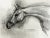 1990s Vintage Abstract Horse Painting Contemporary "Horse Portrait Study in Black and White" Mixed Medium on Paper, 1990s " For Sale - Image 5 of 5