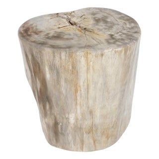 Beige Large Petrified Wood Organic Stomp Shape Stand End Side Table Pedestal For Sale