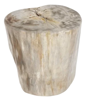 Beige Large Petrified Wood Organic Stomp Shape Stand End Side Table Pedestal