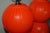 Orange Joe Cariati Glass Ball Lamps Orange Red For Sale - Image 8 of 9